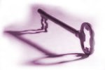 Equestrian Website Design