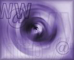 Equestrian Website Design