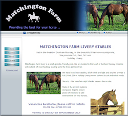 Equestrian Website Design