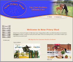 Equestrian Website Design