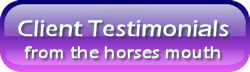 Equestrian Website Design