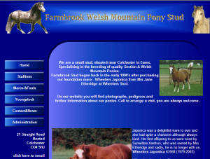 Equestrian Website Design