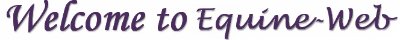 Equestrian Website Design