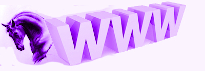 Equestrian Website Design