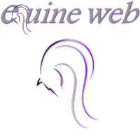 Newly redesigned Equestrian website with Instant Chat performing well on Google