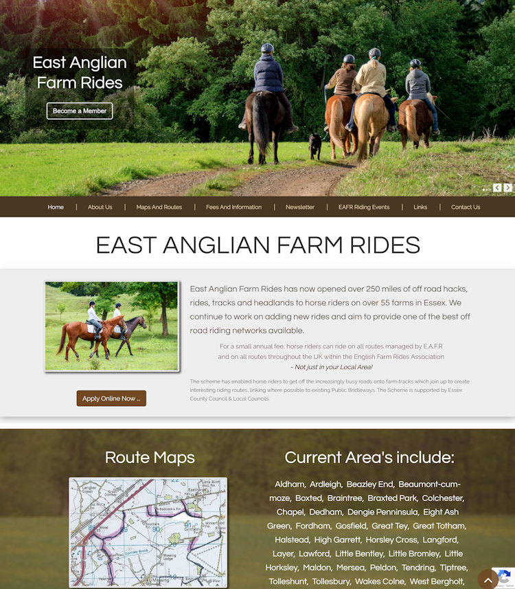Home Equine-Web.co.uk Equestrian Website Design Equine Businesses gallery image 26