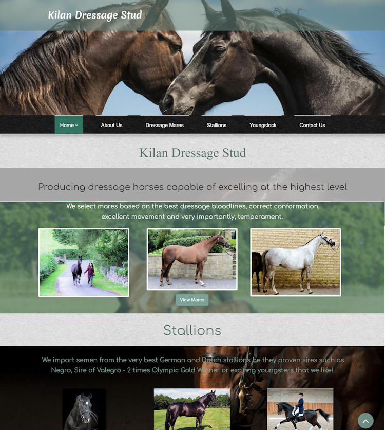 Home Equine-Web.co.uk Equestrian Website Design Equine Businesses gallery image 16