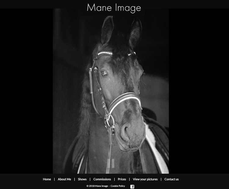 Home Equine-Web.co.uk Equestrian Website Design Equine Businesses gallery image 8