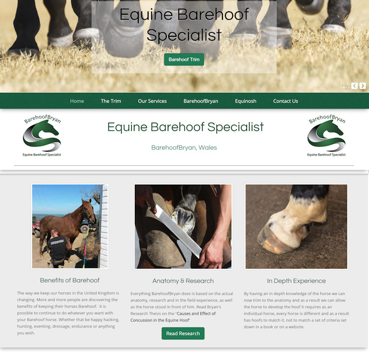 Home Equine-Web.co.uk Equestrian Website Design Equine Businesses gallery image 19