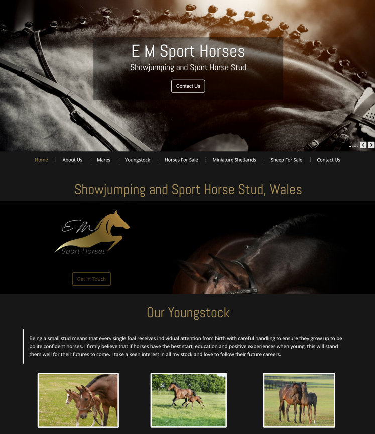 equestrian websites web design in essex and uk